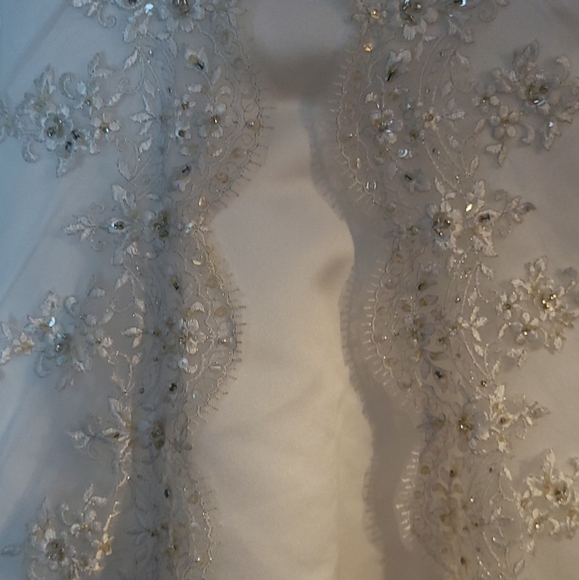 Confirmation or Jr  bridesmaid dress sz 10 - Picture 6 of 9